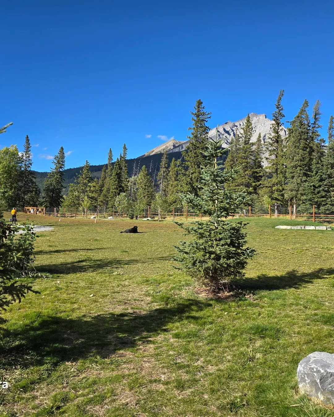 Banff rec-grounds dog park