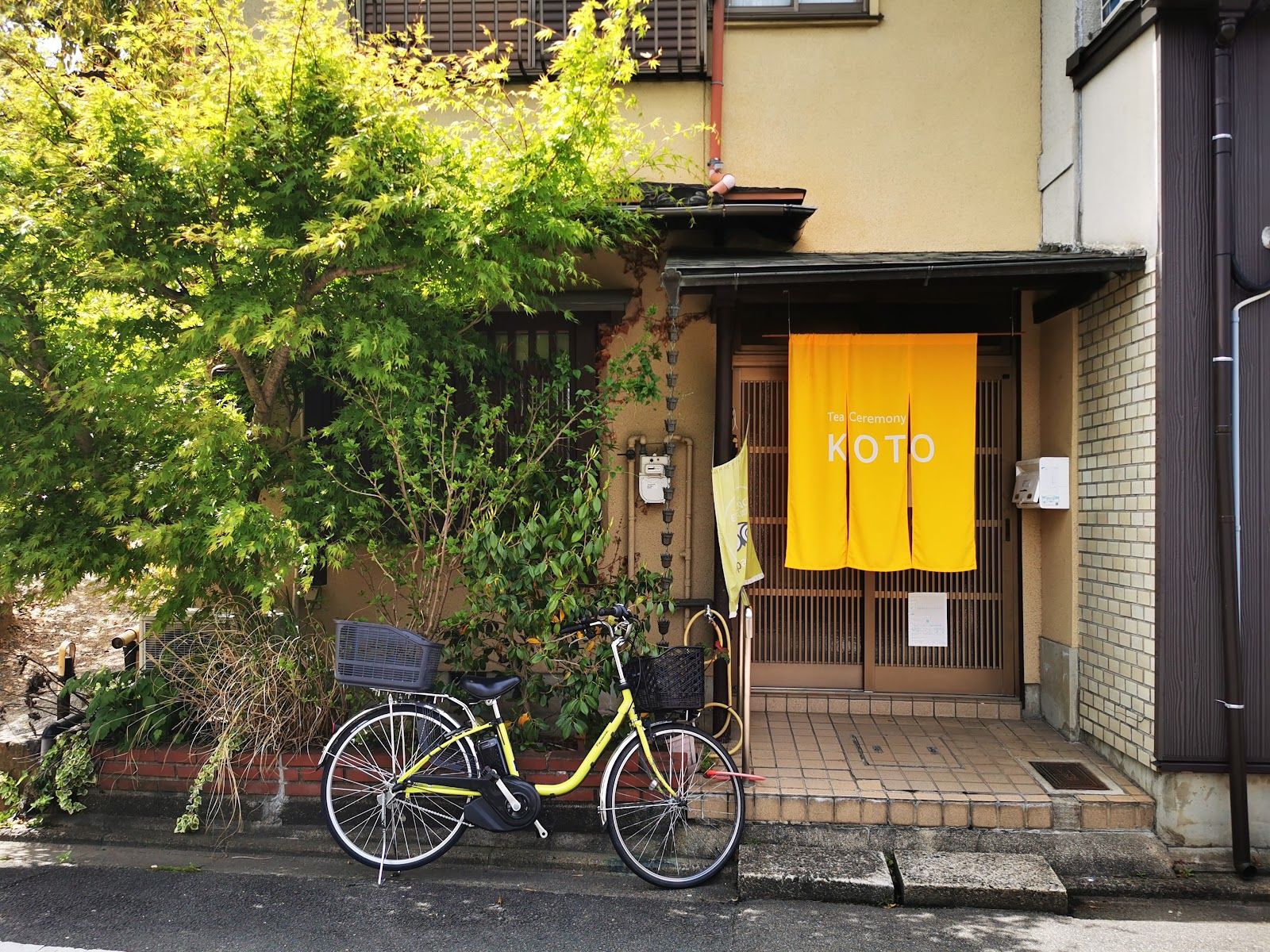 茶道体験 古都(Tea Ceremony KOTO)