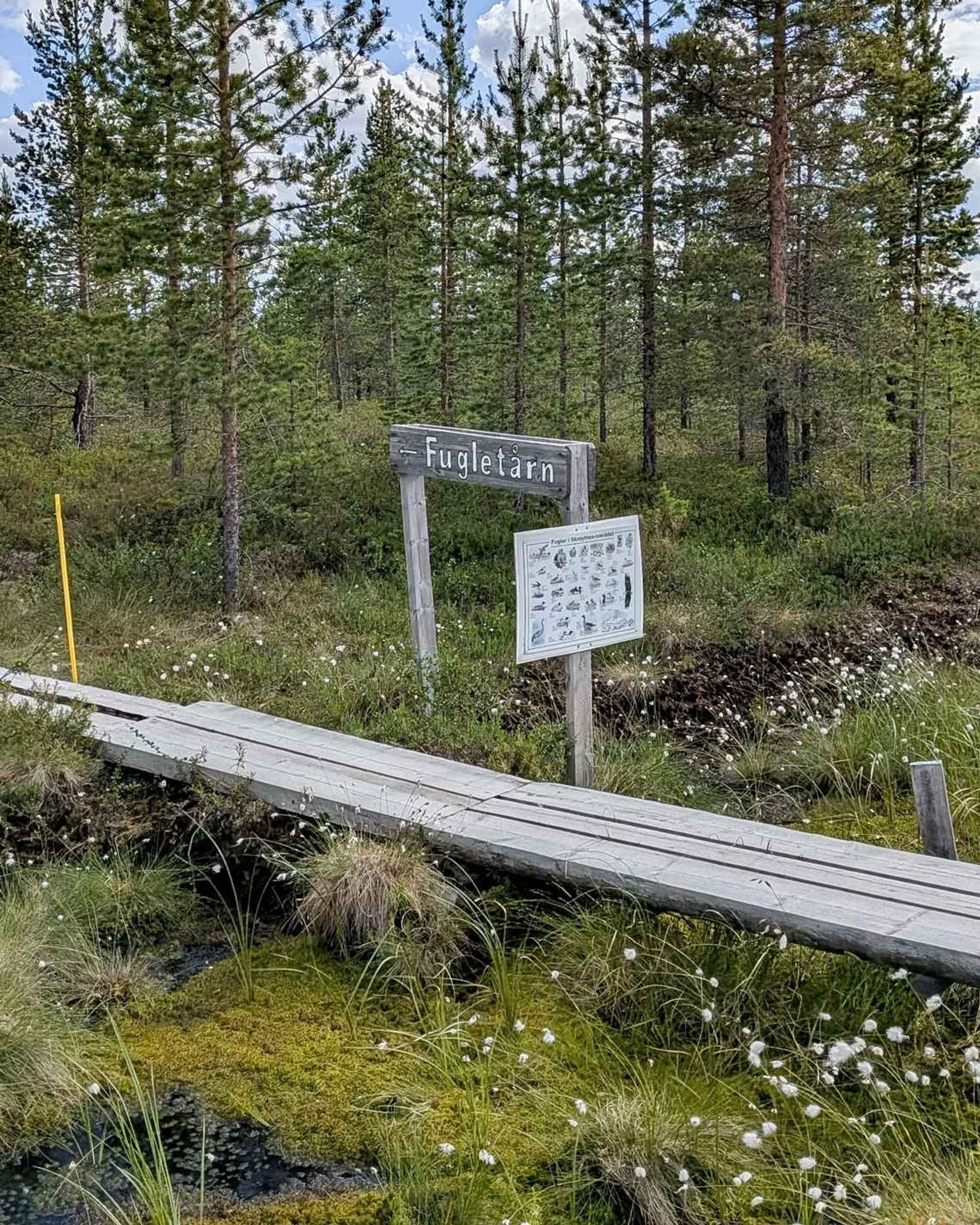 Skrøytnes Fugletårn