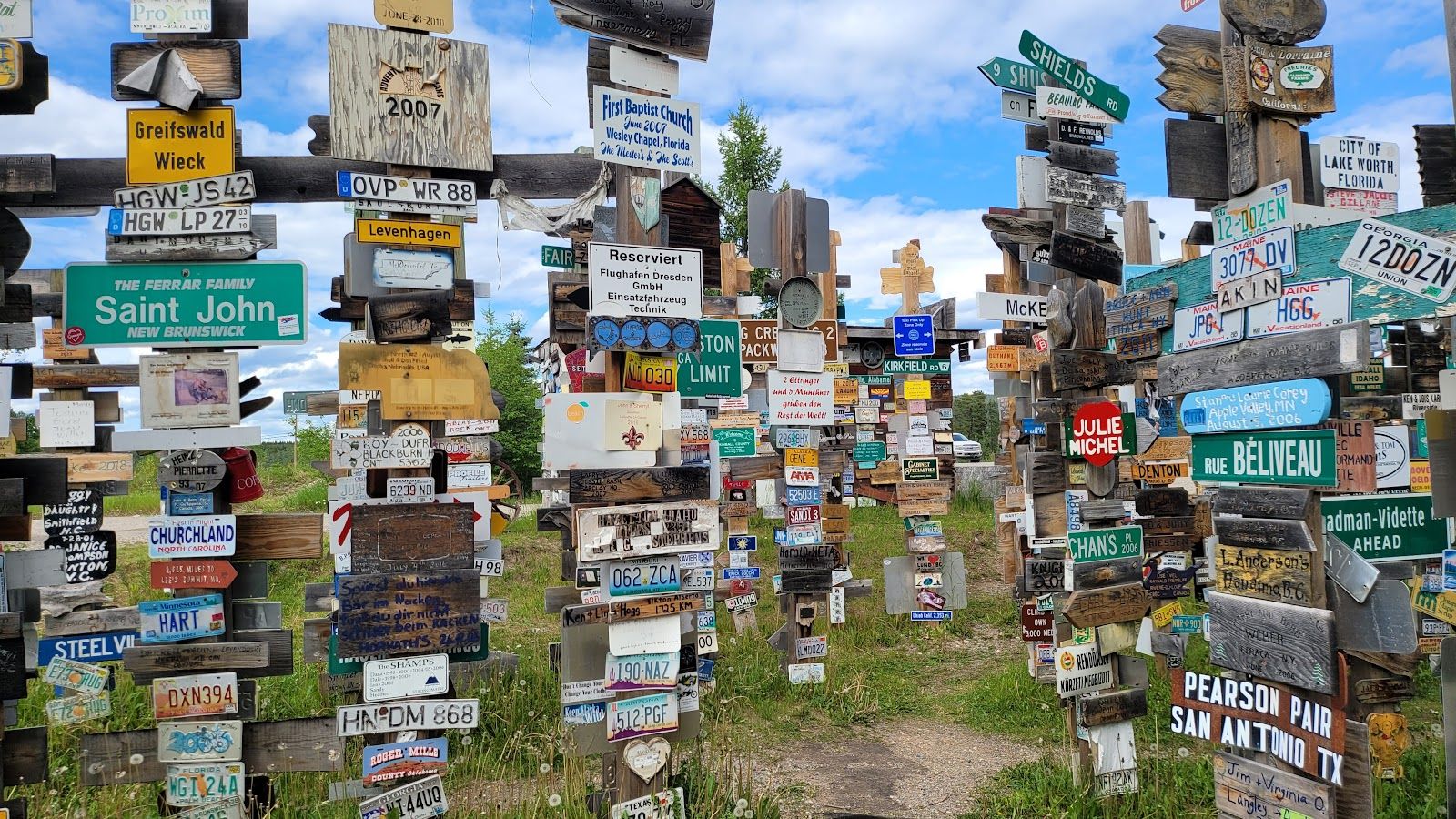 Sign Post Forest