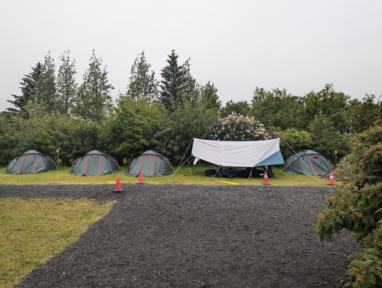 Reykjamörk camp site, Hveragerði