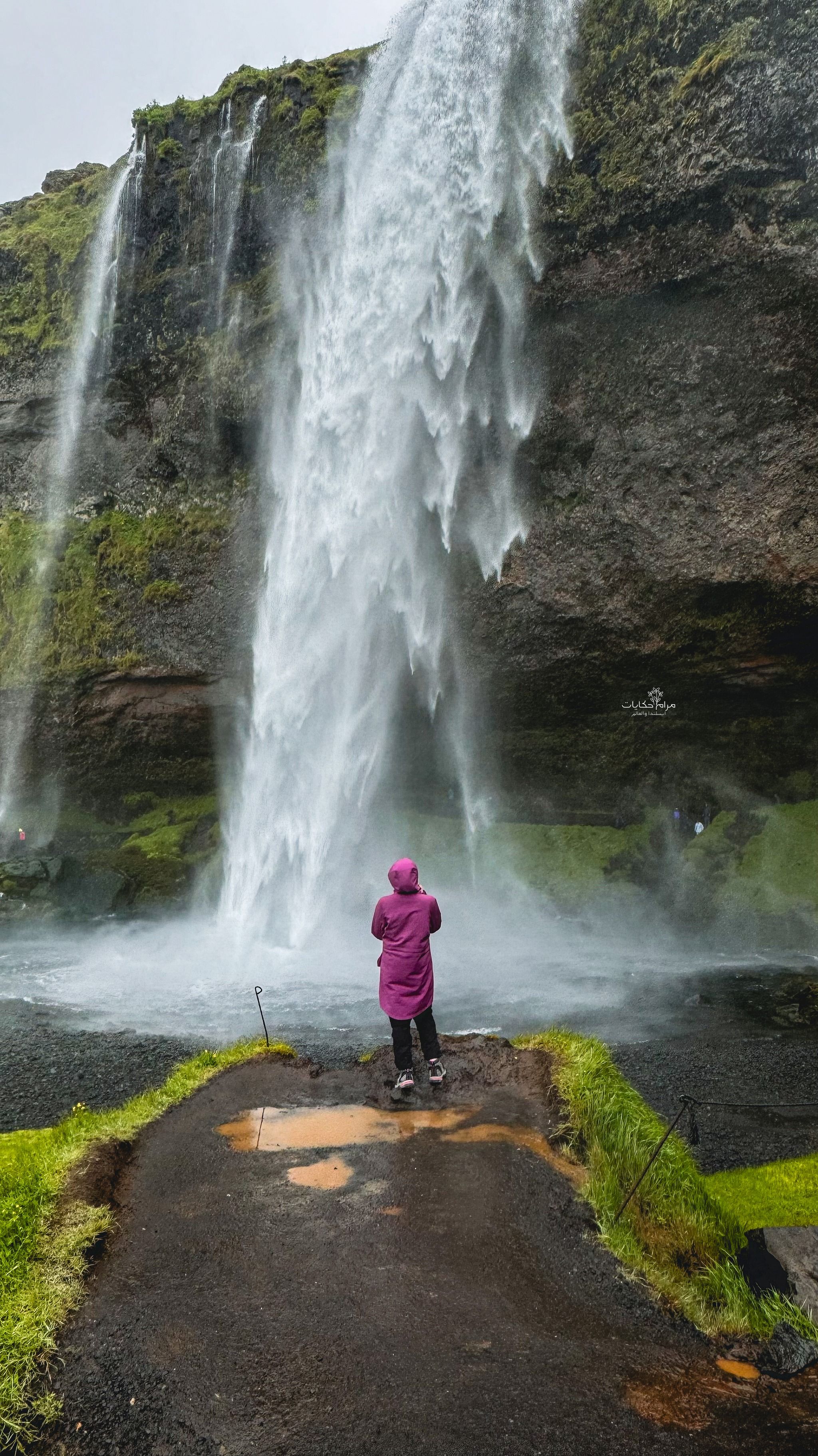 Seljalandsfoss