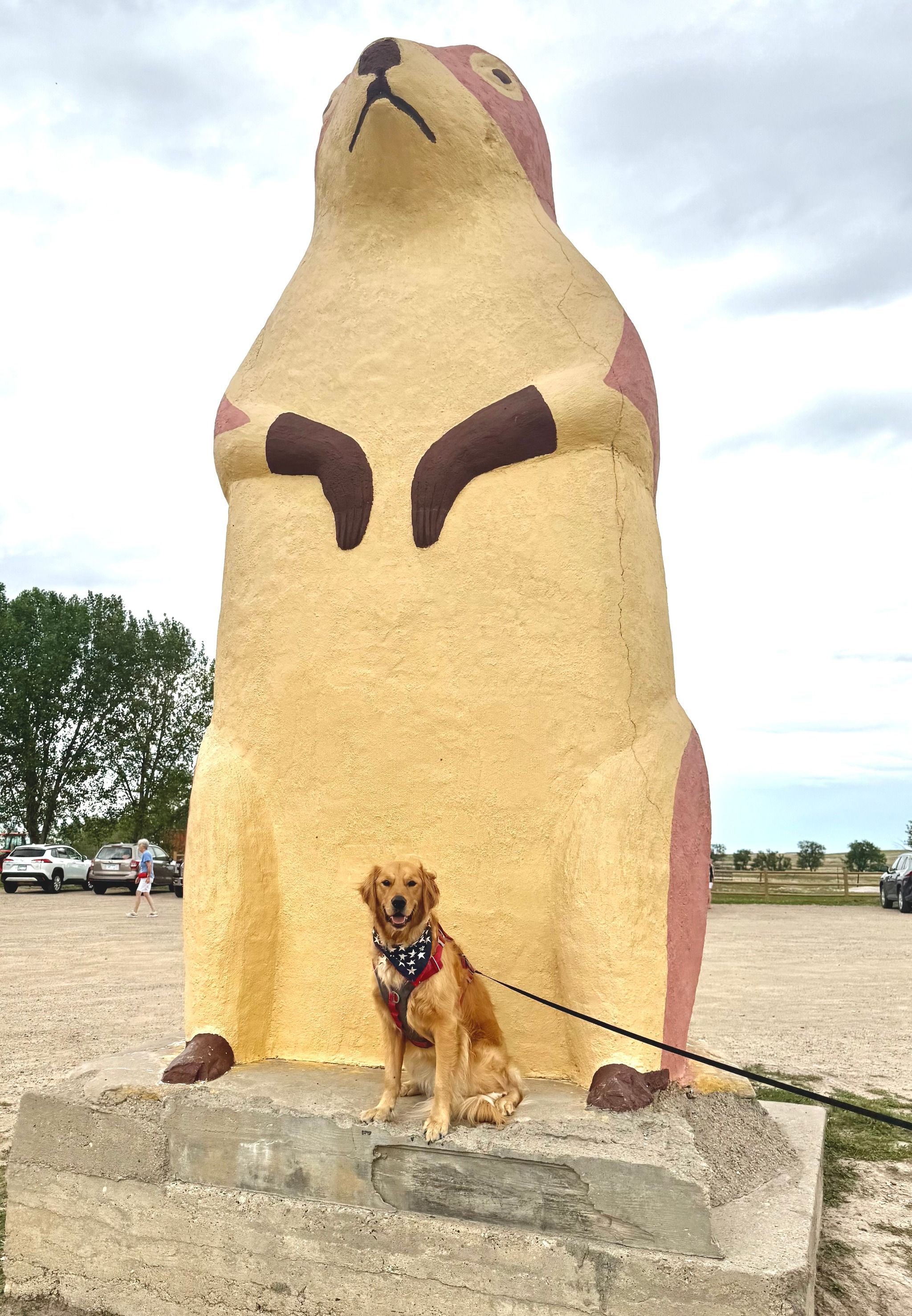 Prairie Dog Town