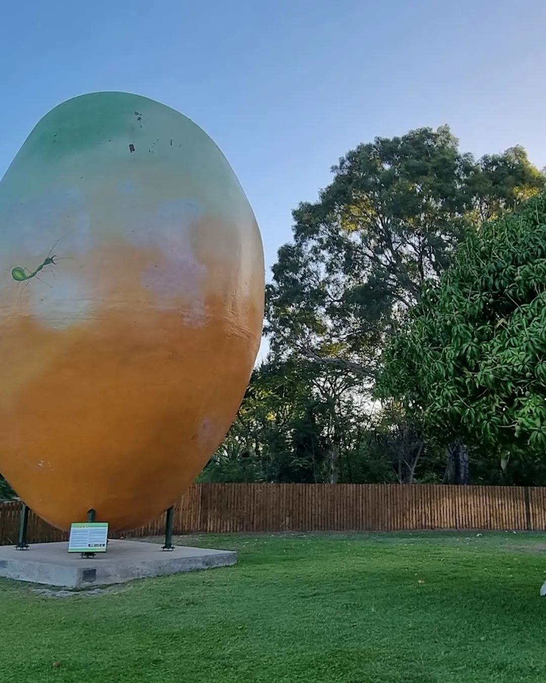 The Big Mango - Australia - Rexby, image size:1080x1350