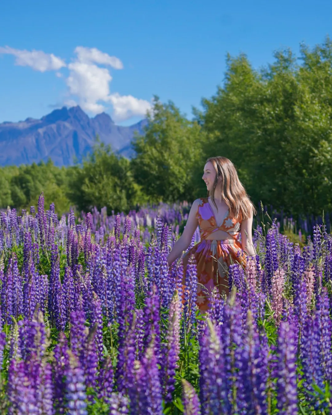 Paradise Lupin Spot