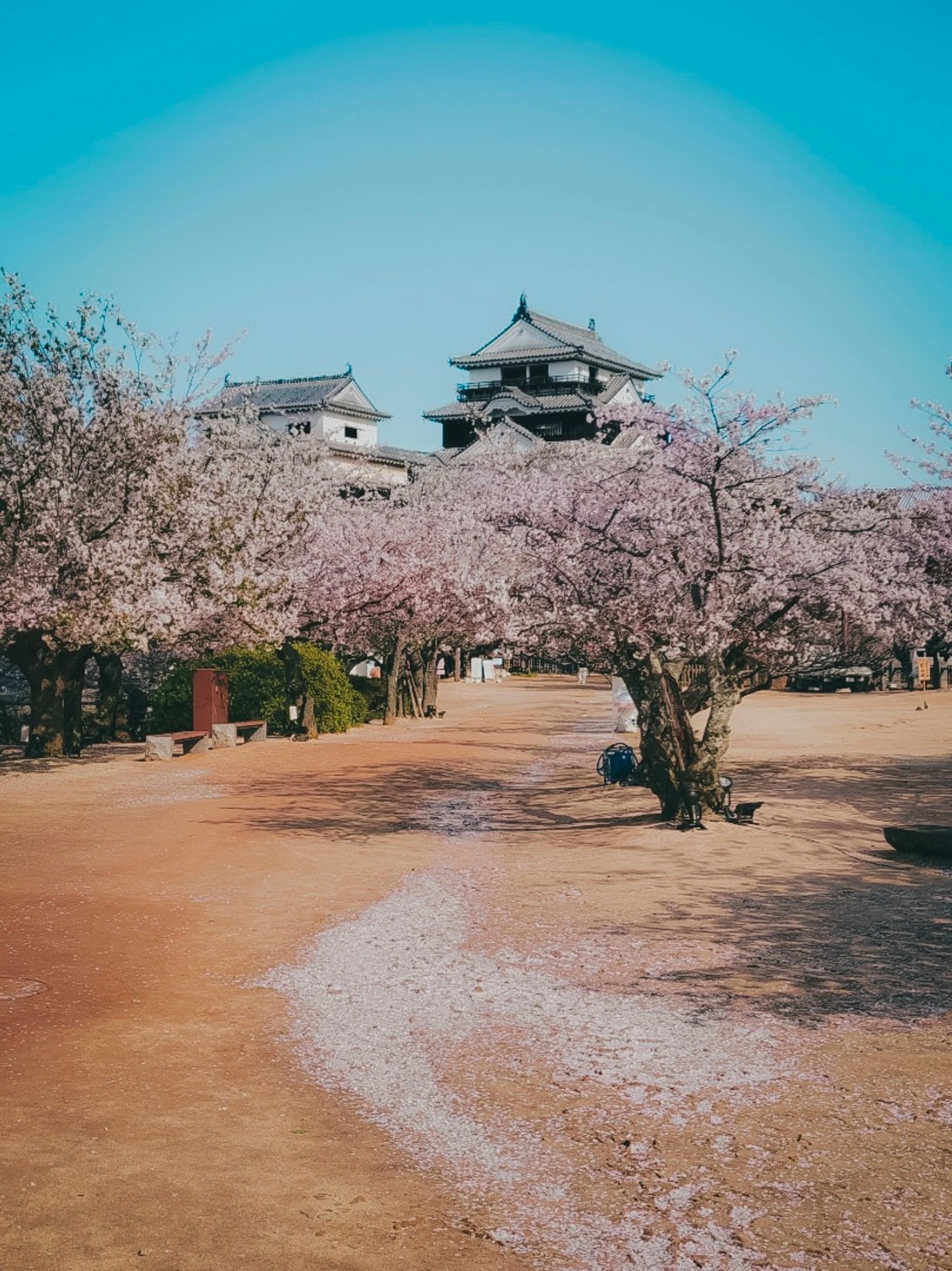 Matsuyama-jō Castle