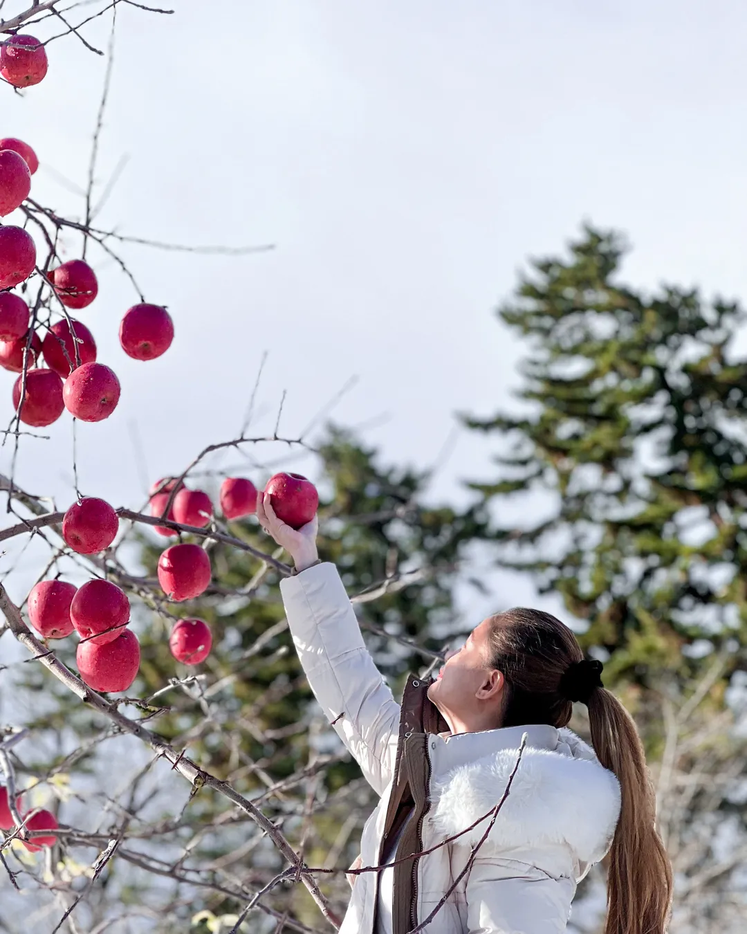 Tsugaru-han Neputa-mura Village
