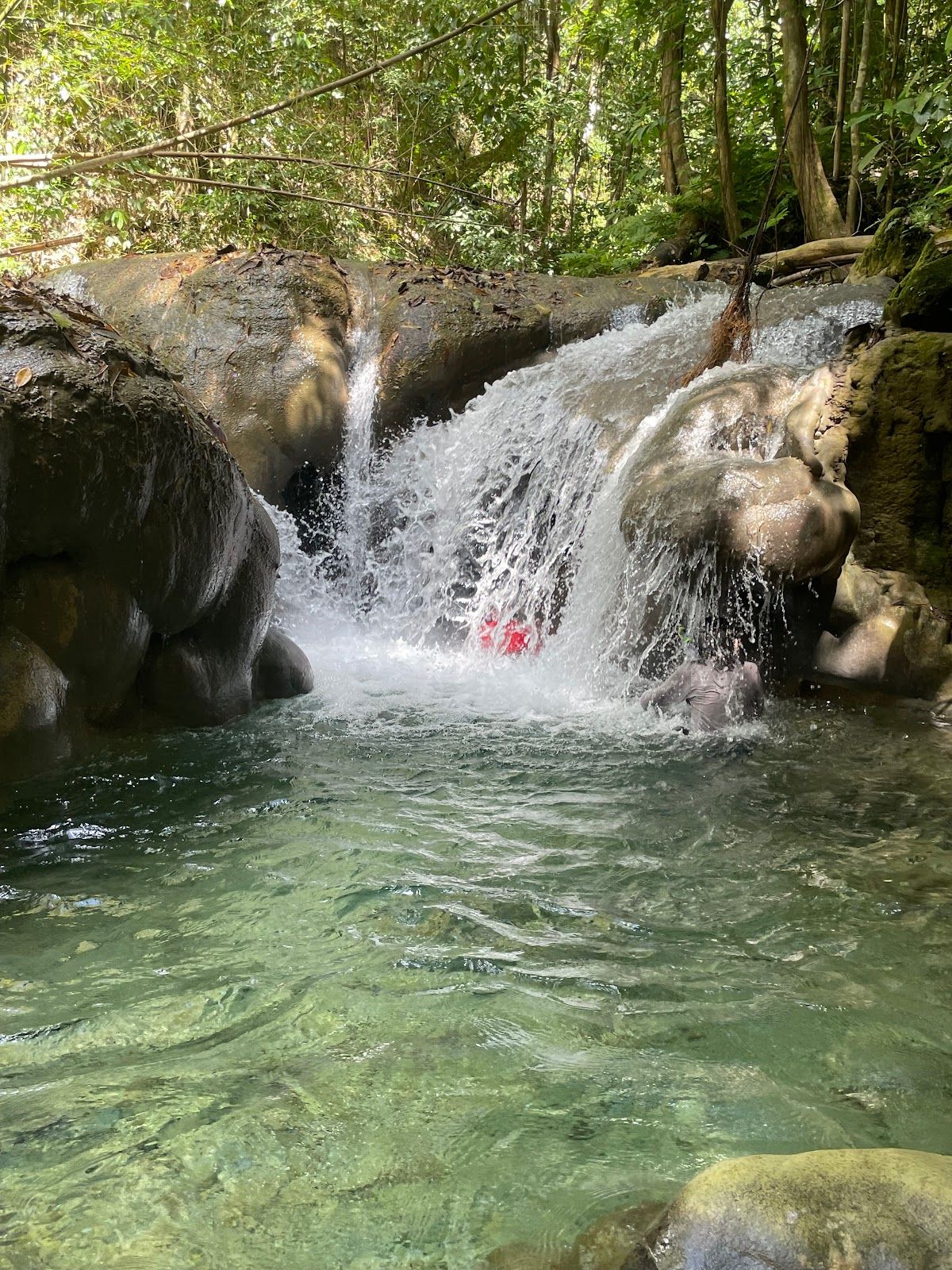 Mayfield Falls & Mineral Springs - Original