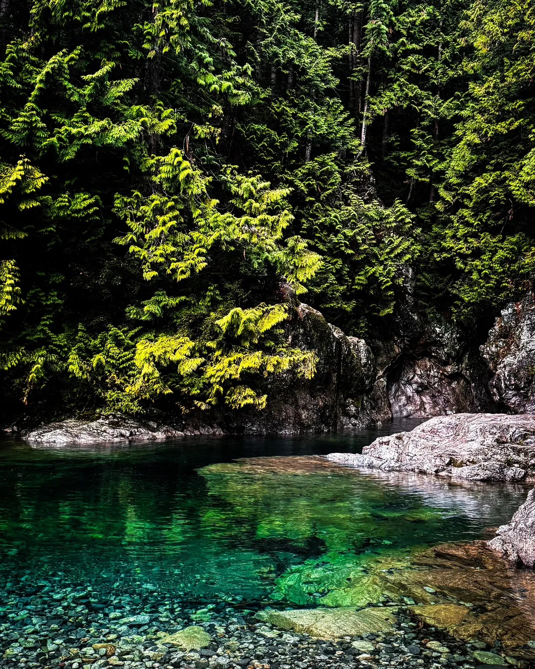 30 Foot Pool, Lynn Canyon, North Vancouver