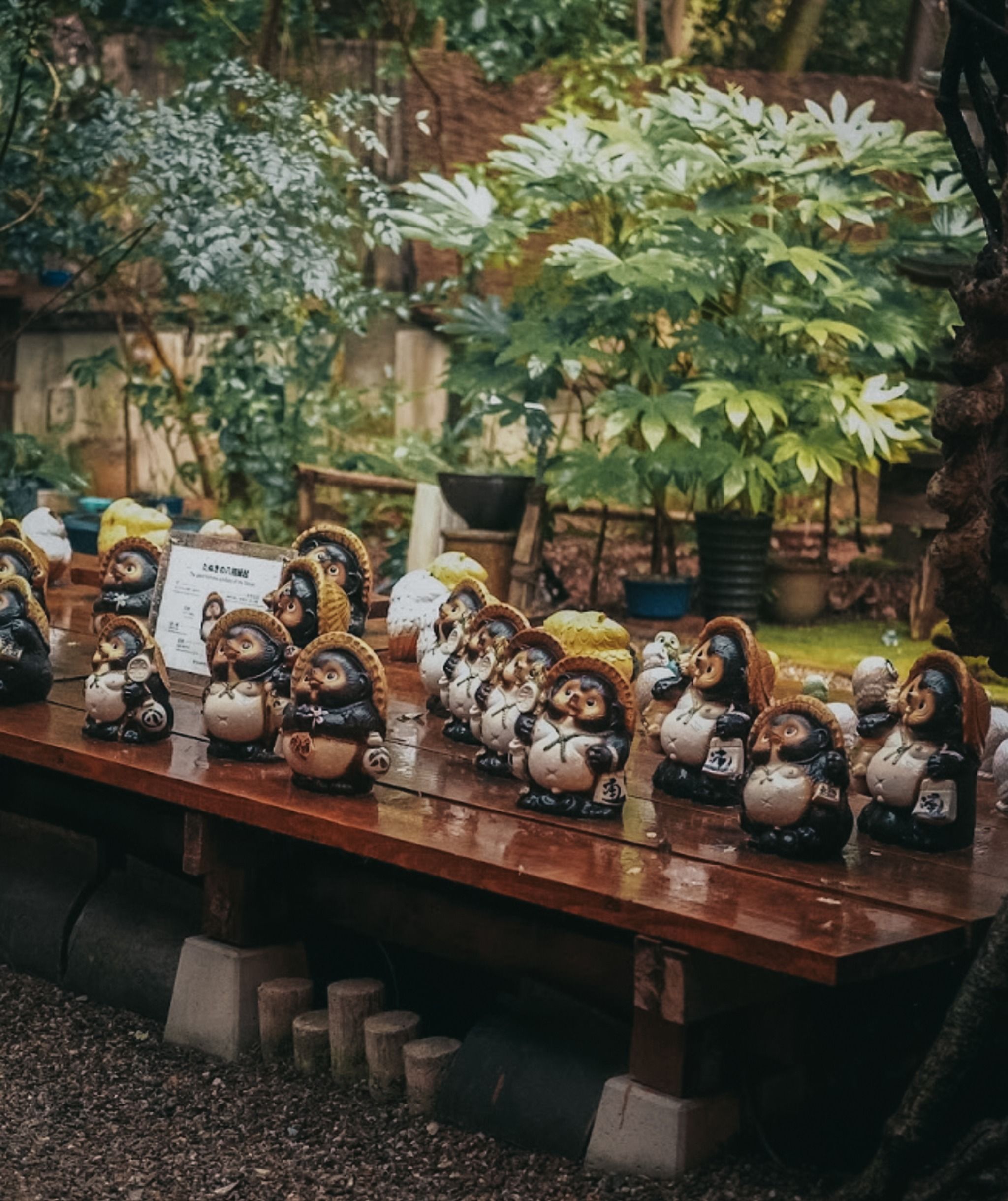 Kotouen - Japan - Rexby