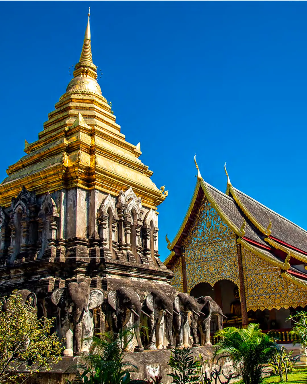 Wat Chiang Man