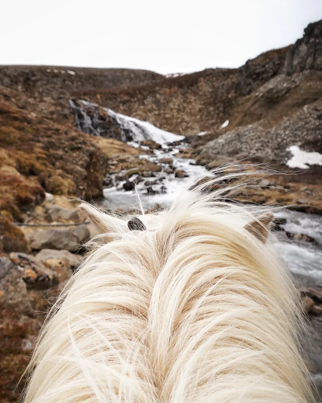 Eyjardalsá horse riding