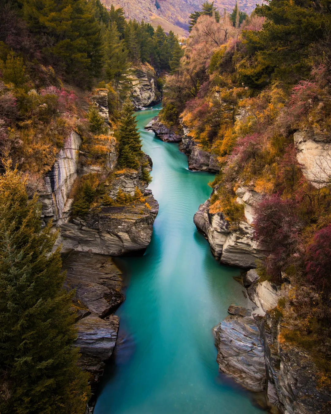 Shotover River Gorge Queenstown