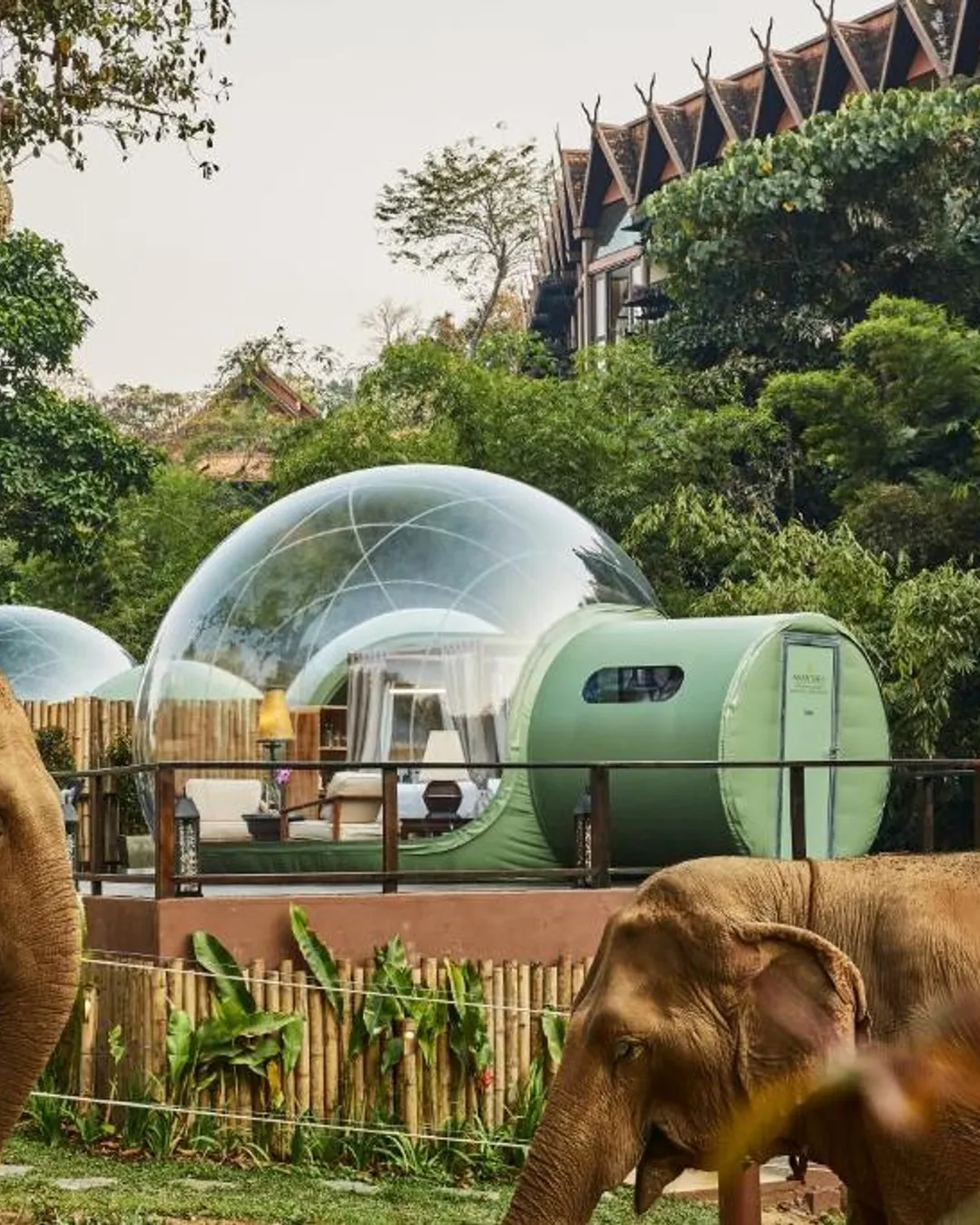 Anantara Golden Triangle Elephant Camp & Resort