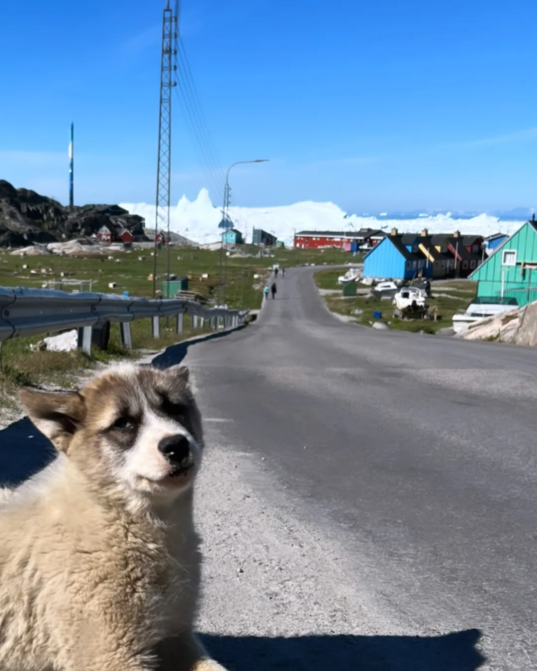 Viewpoint from road 