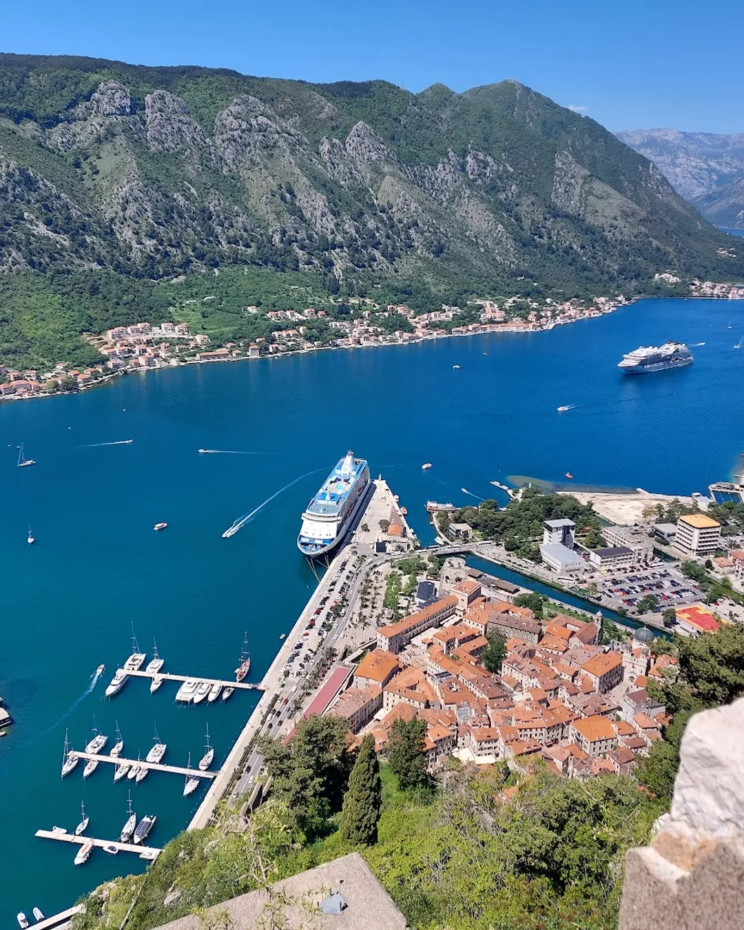 Kotor Bay Viewpoint