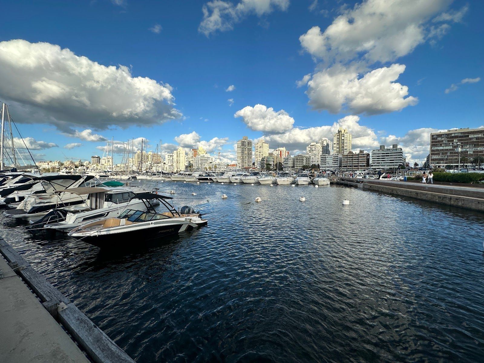 Puerto de punta del este