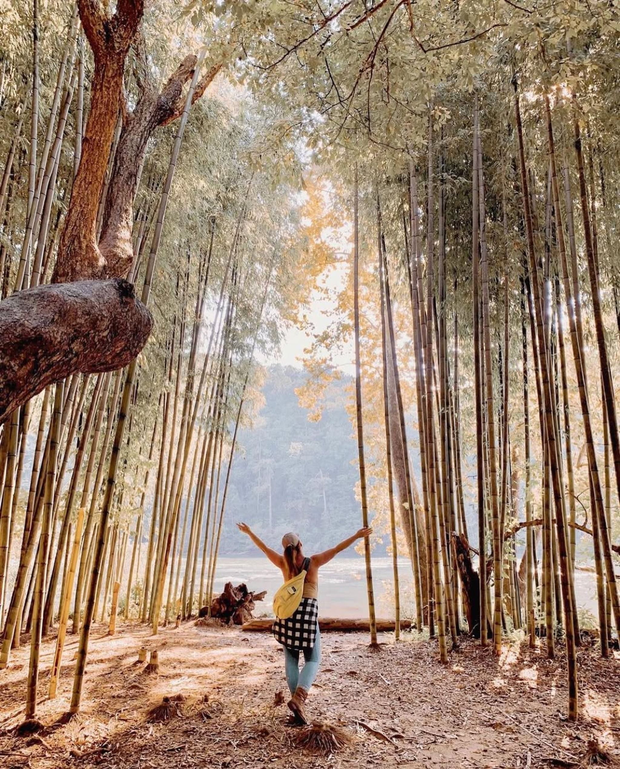 East Palisades Unit - Indian Trail