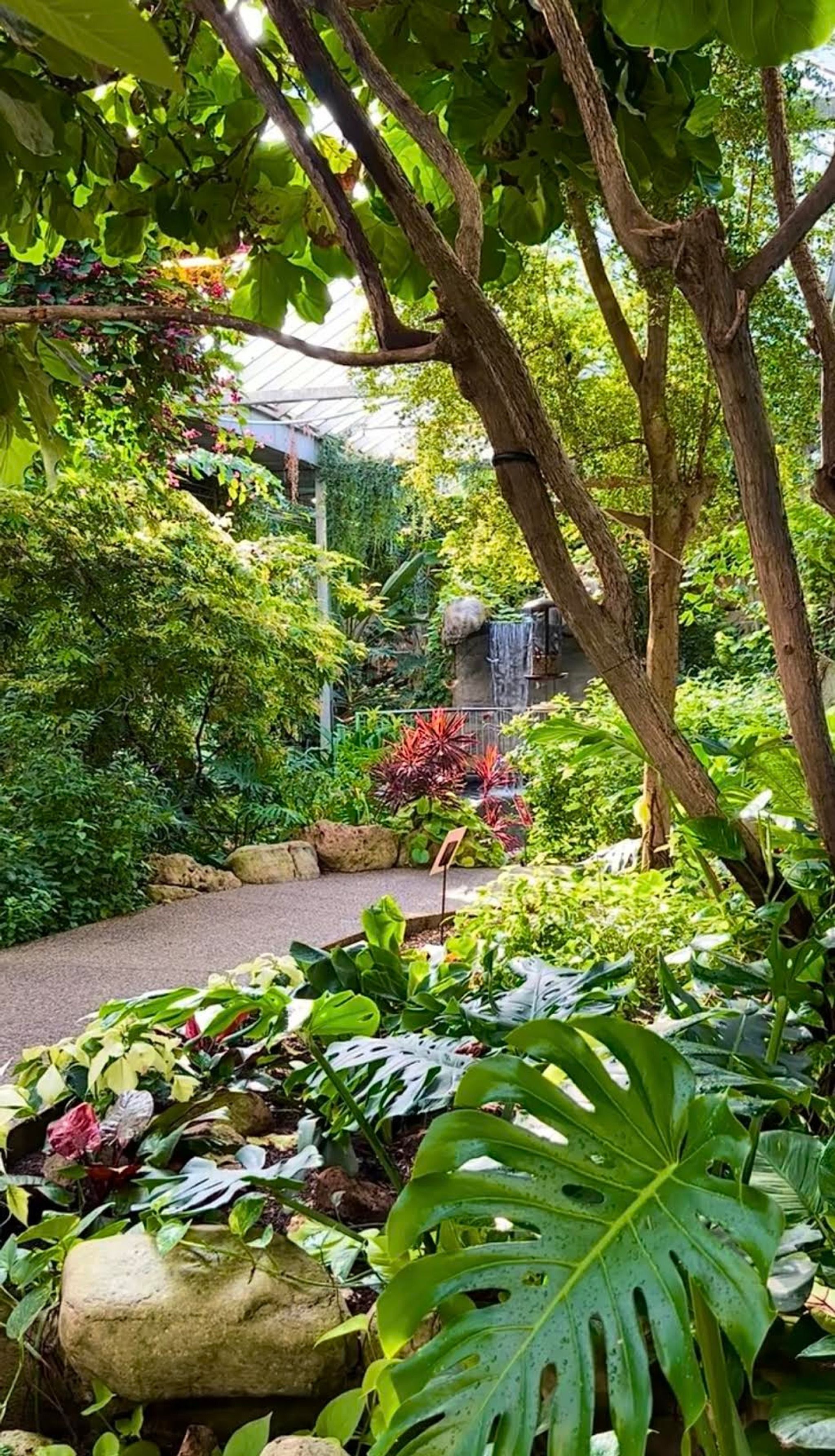 Cambridge Butterfly Conservatory