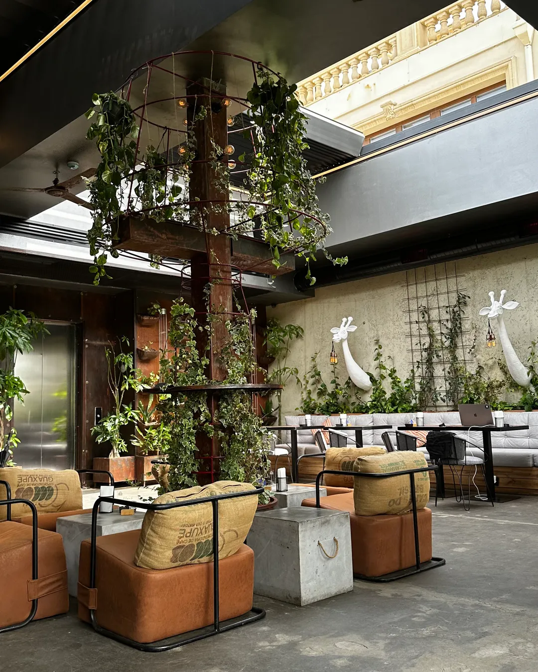 4Loft Local Secret Bar 🍸