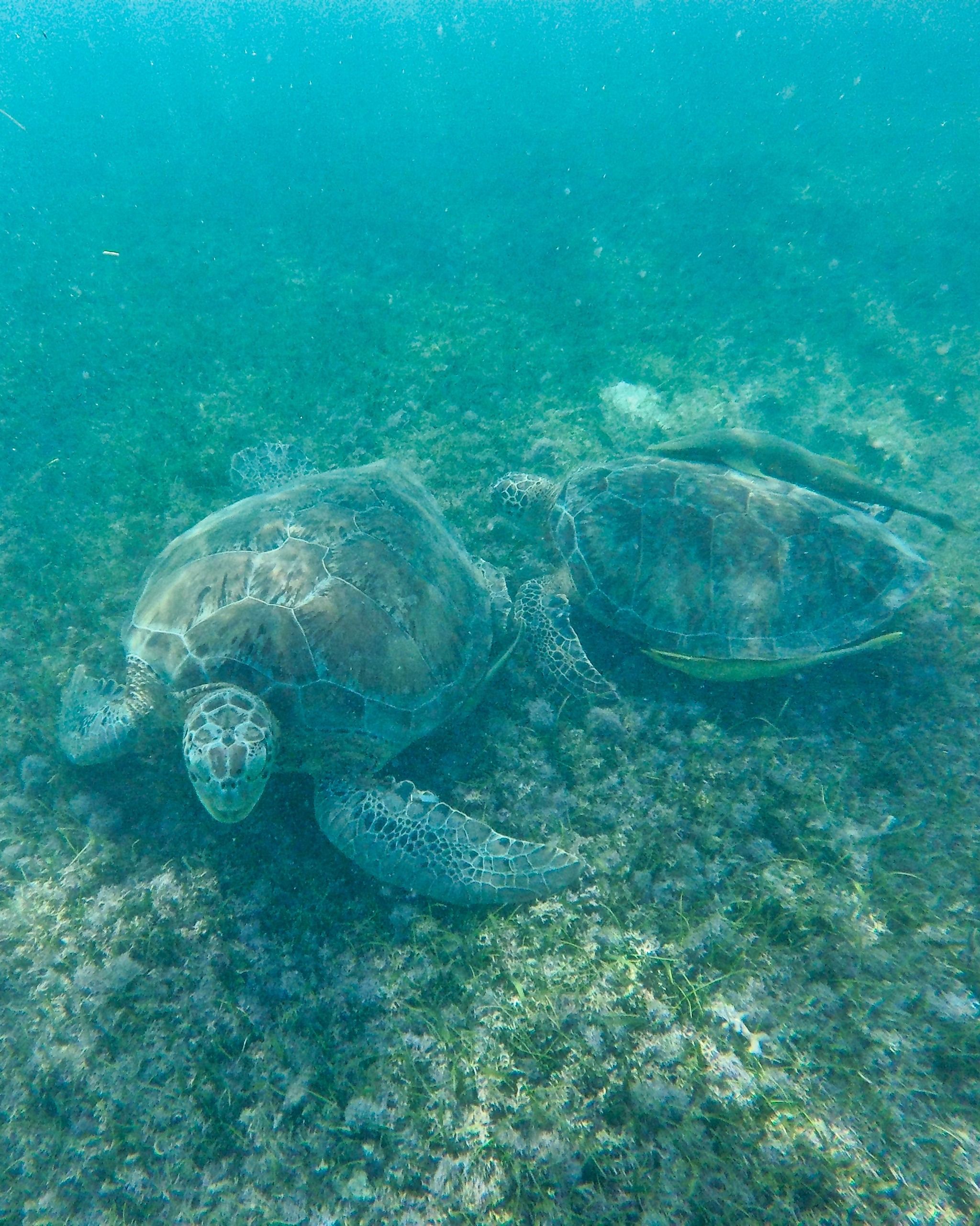 Akumal im Überblick