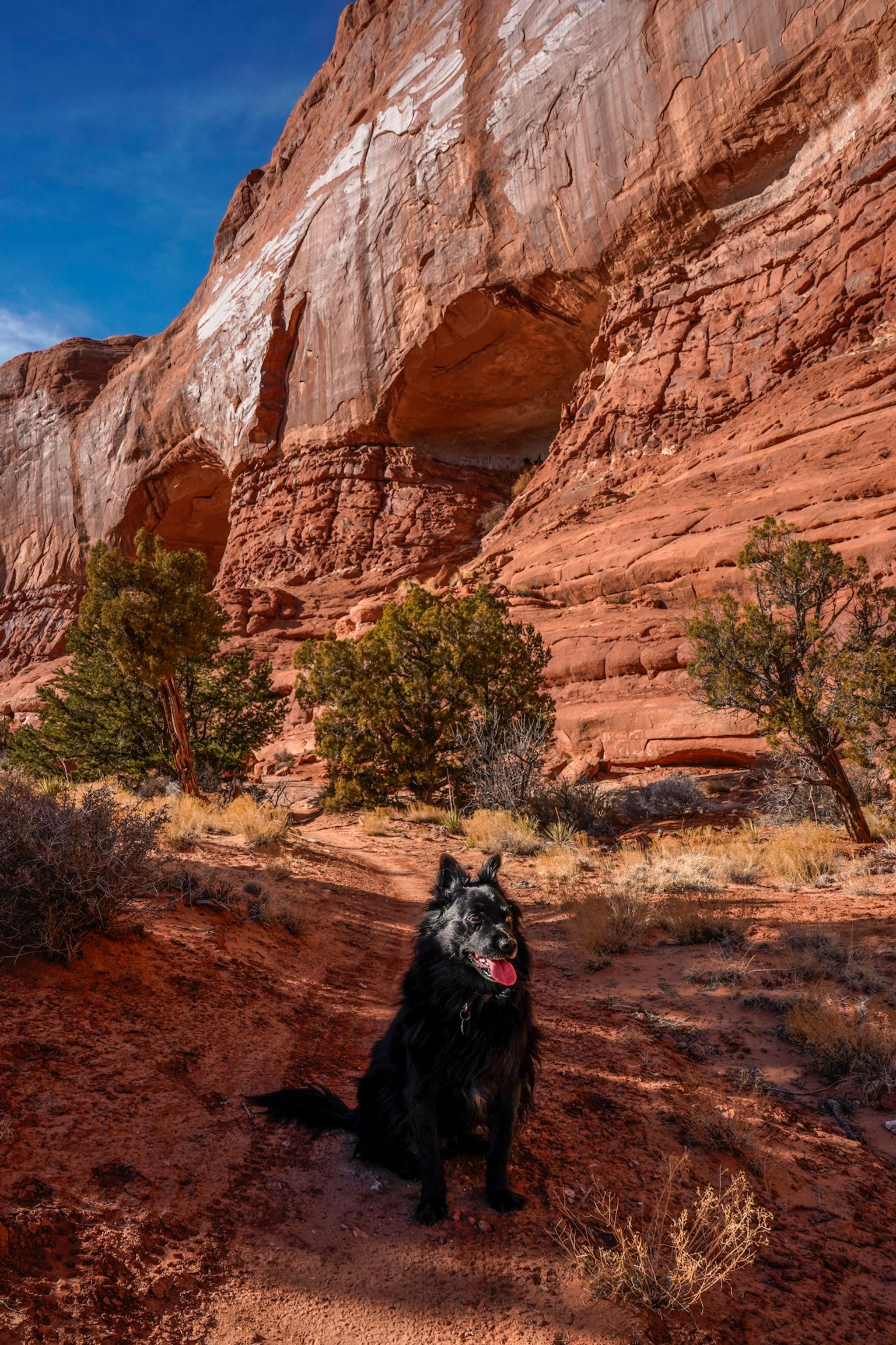 Navajo Rocks Trailhead