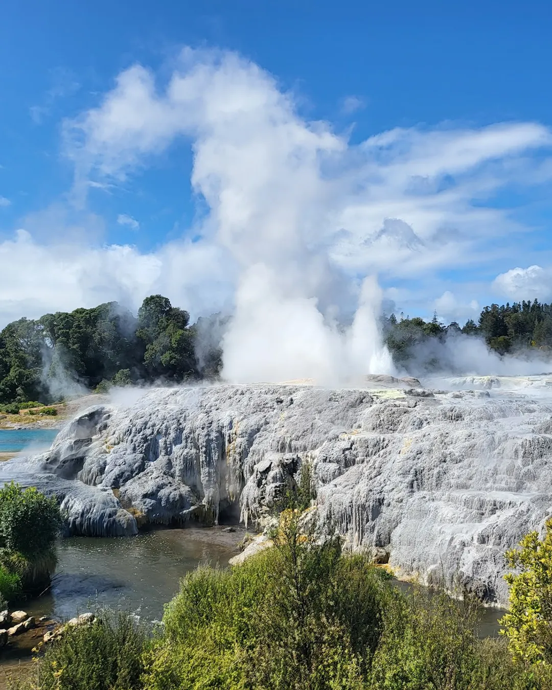 Te Puia - Rotorua, NZ