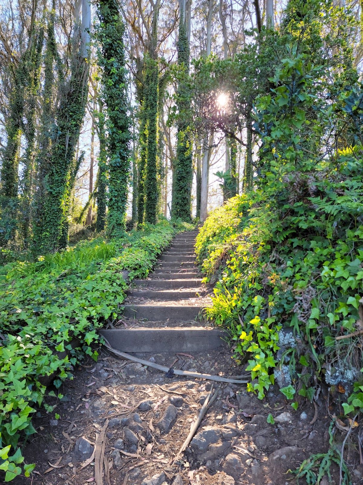 Morning Sun Trailhead
