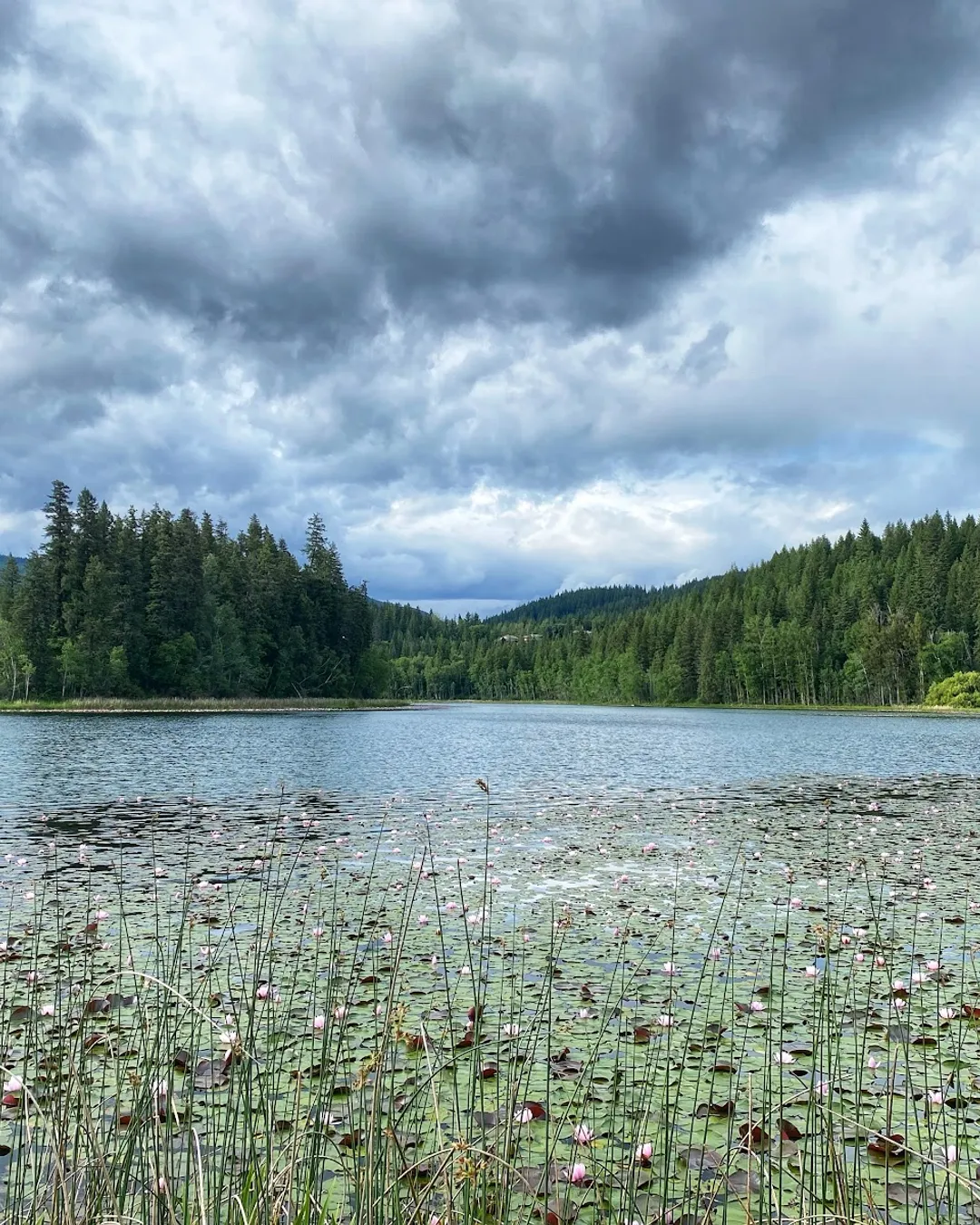 Dutch Lake