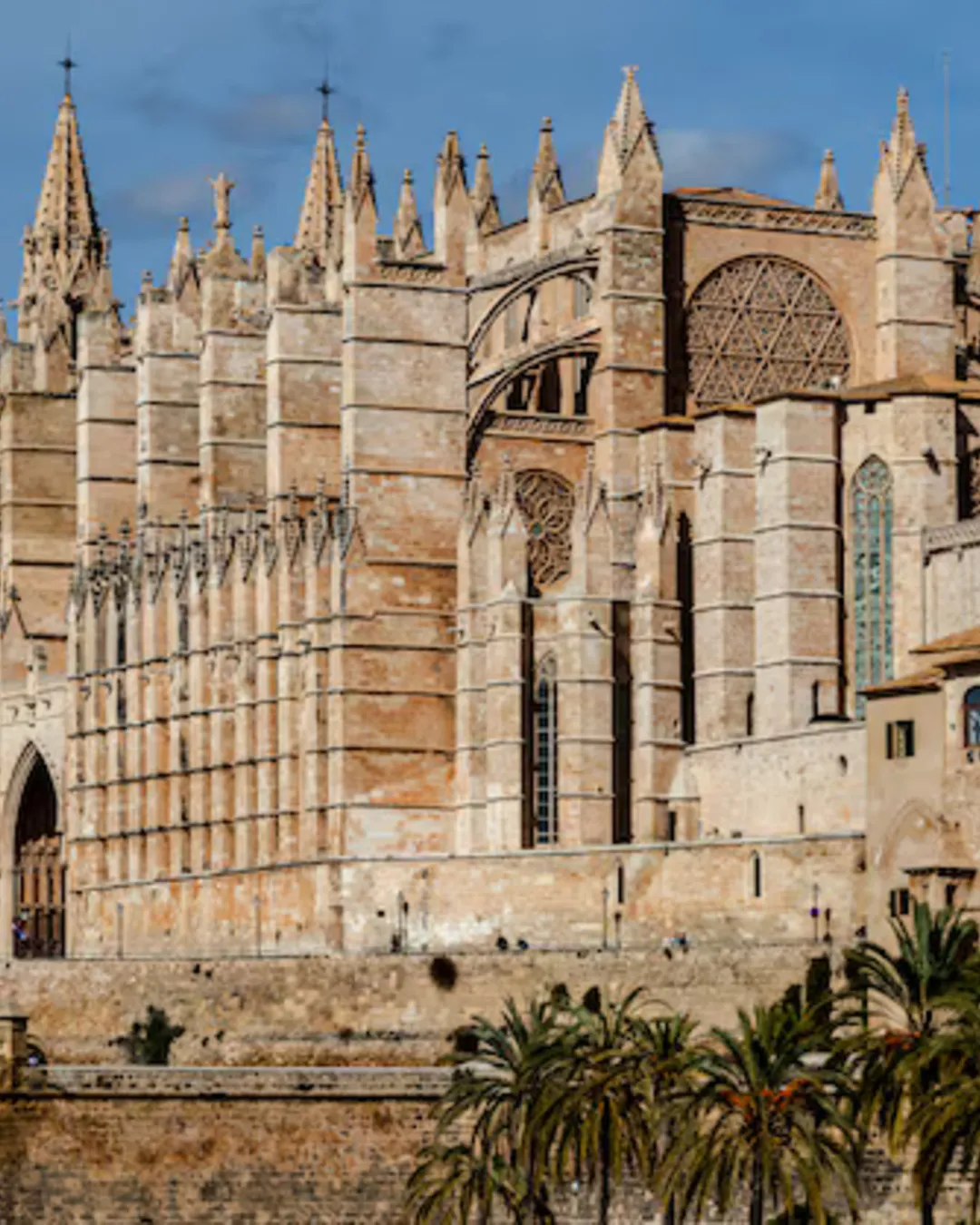 Catedral Basílica de Santa María de Mallorca