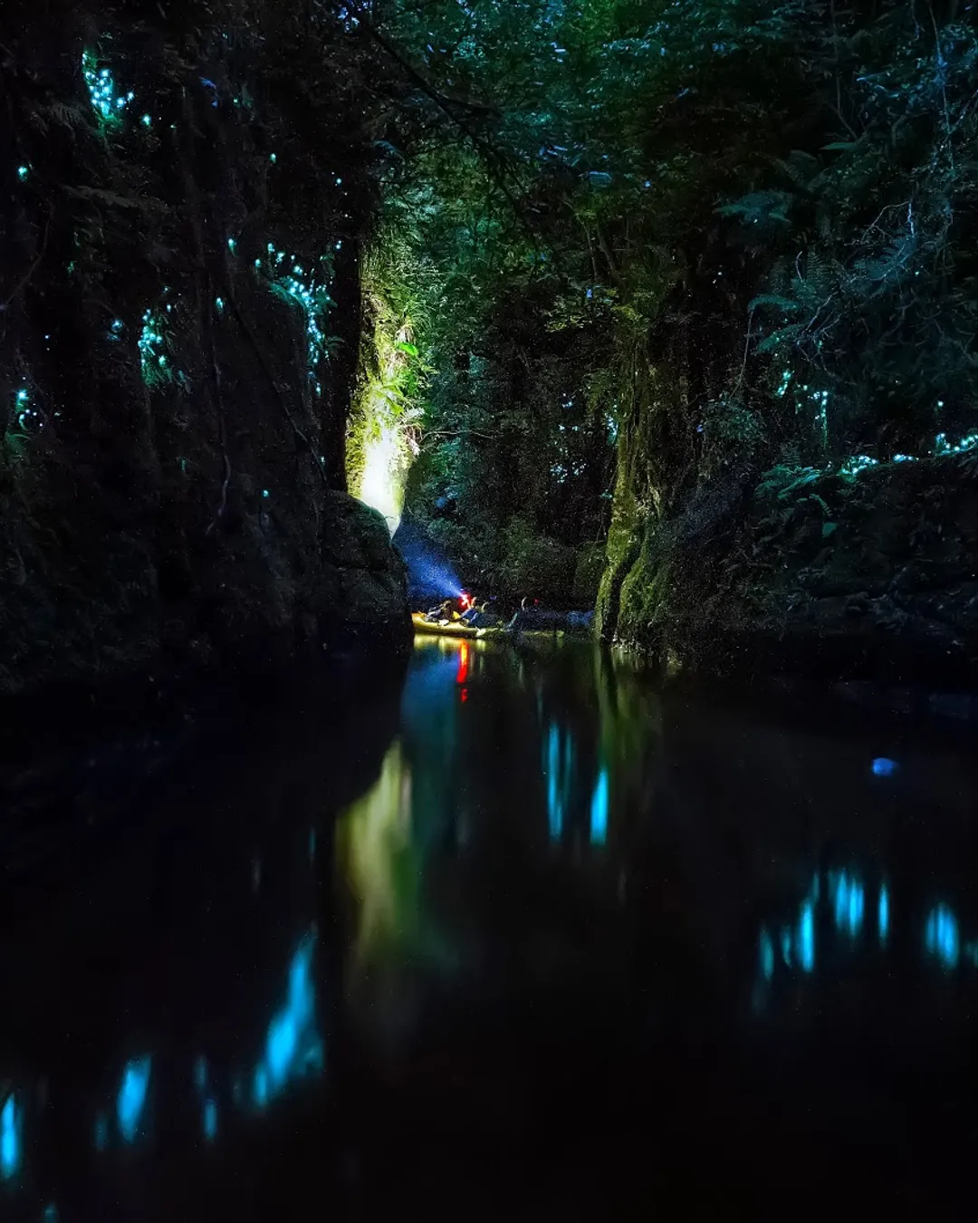 Waimarino Kayak Tours