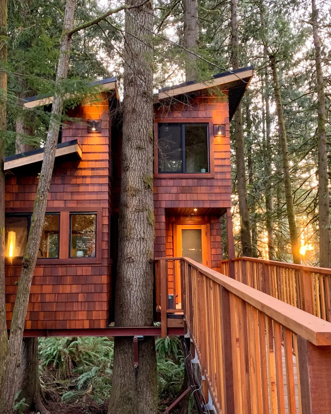 East Sooke Treehouse