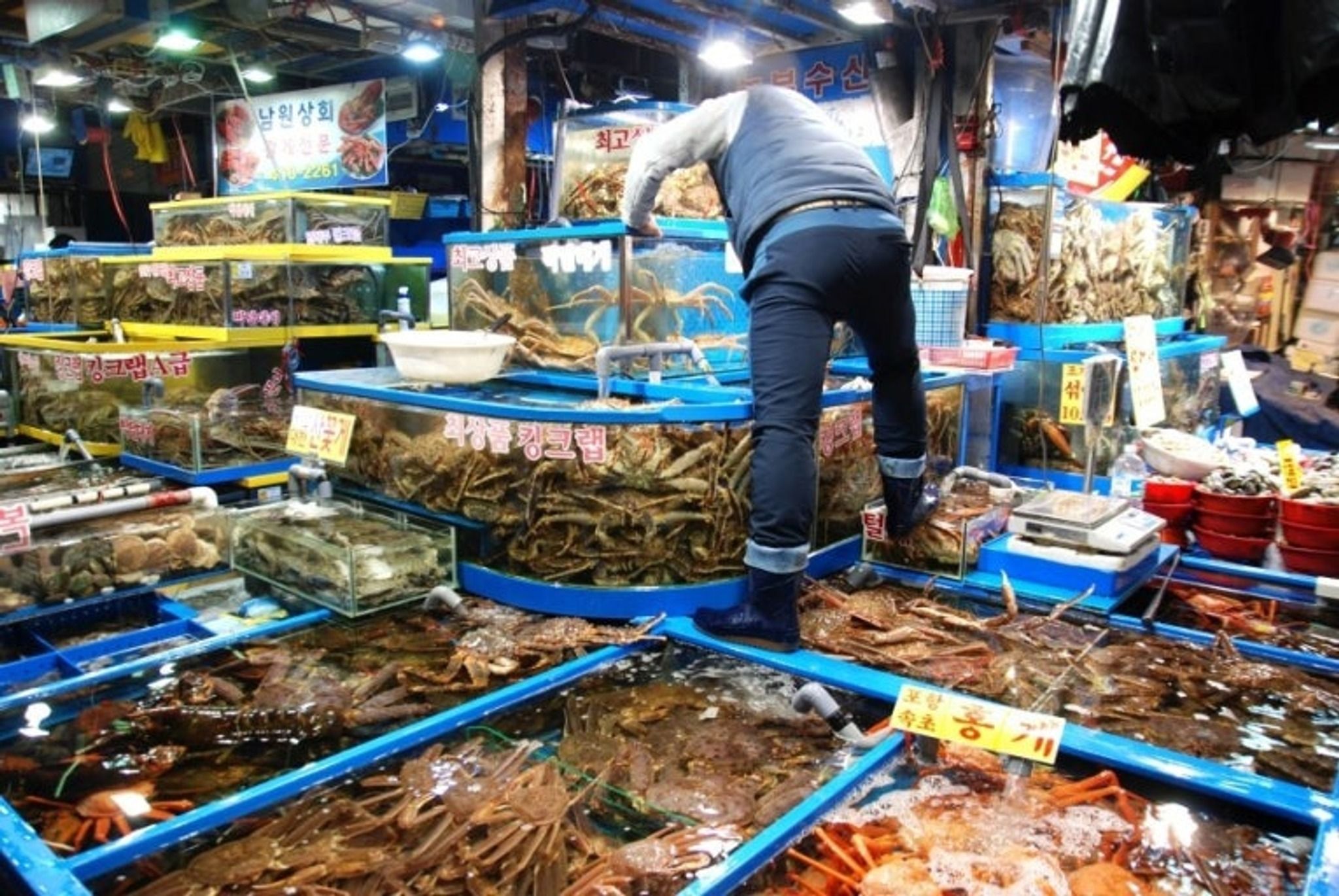 Garak Fish Market