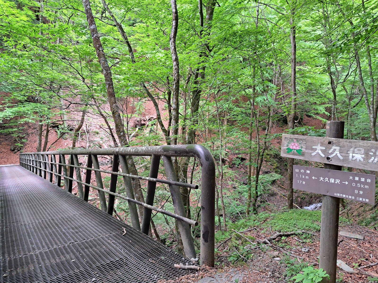Nishizawa Gorge - Rural Travels, Japan - Rexby