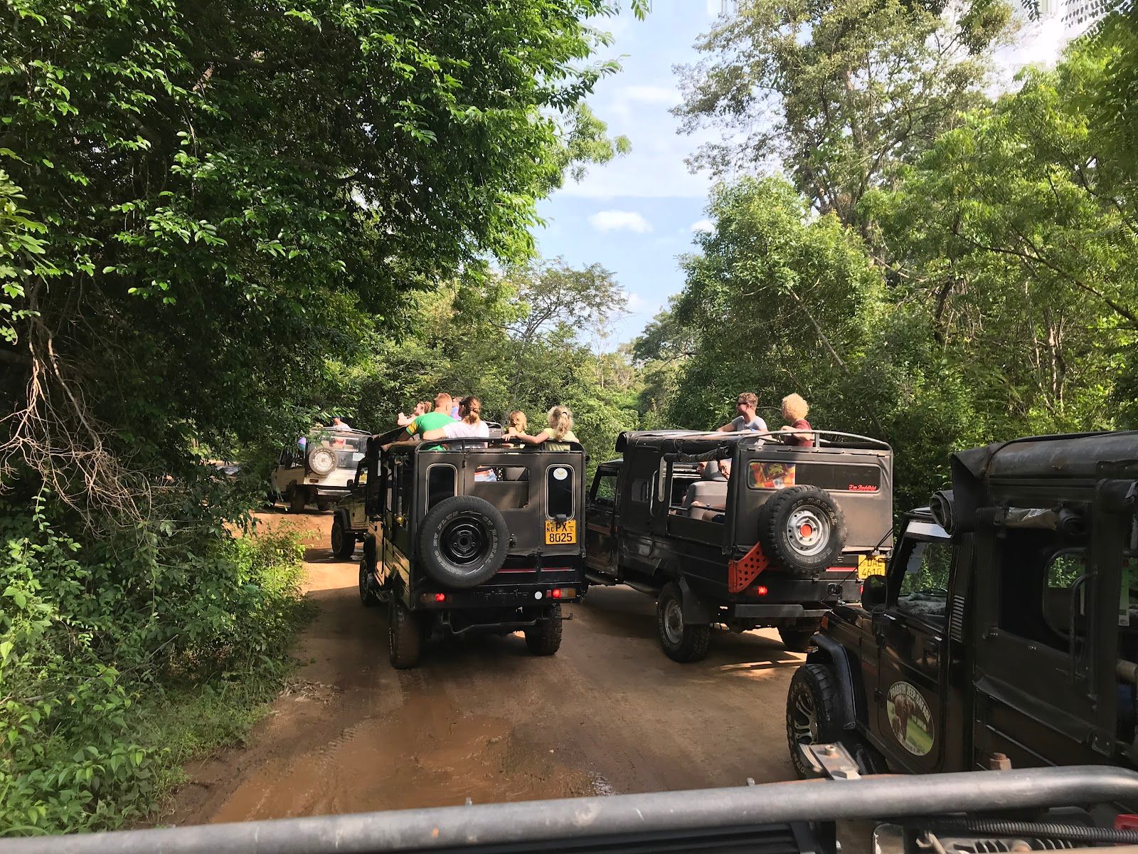 Kaudulla National Park