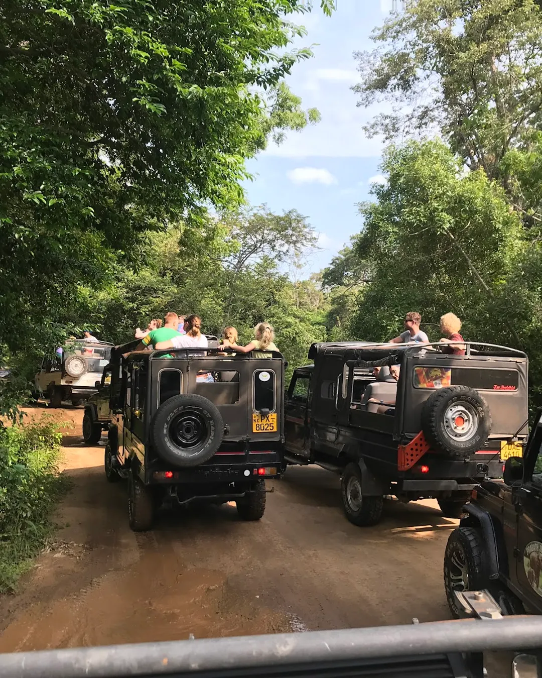 Kaudulla National Park