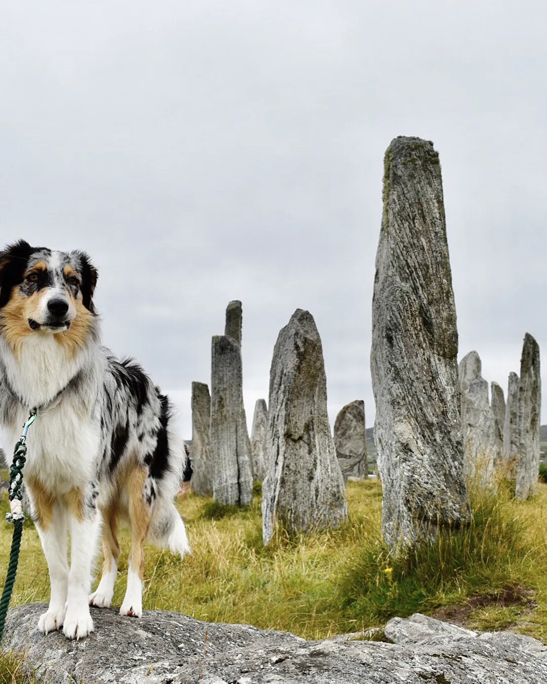 Calanais Standing Stones: Visitor Centre Site