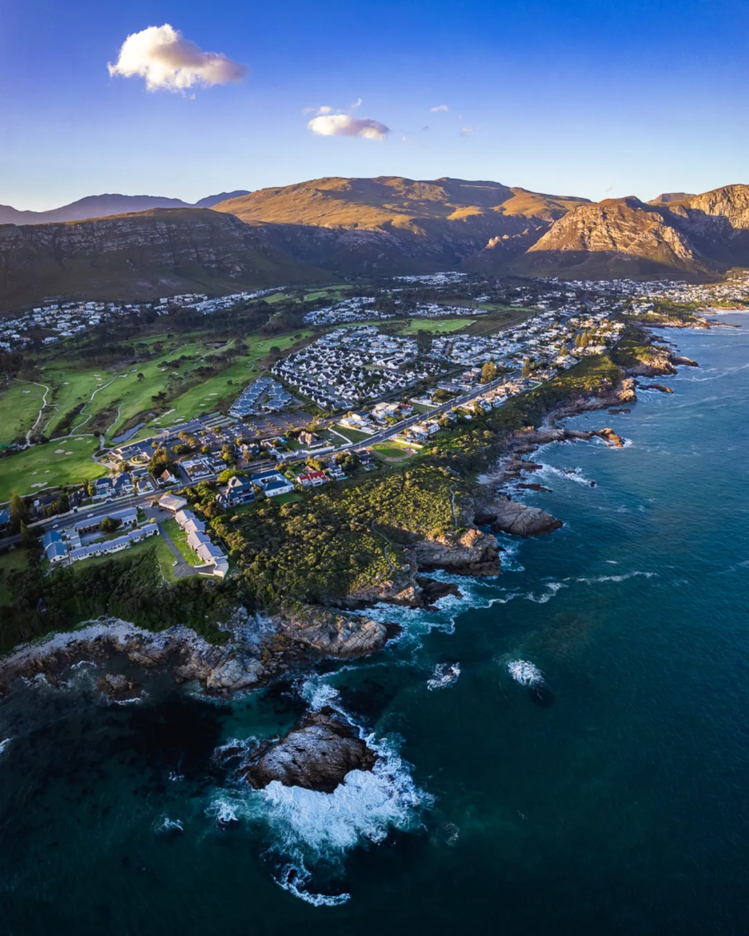 Hermanus