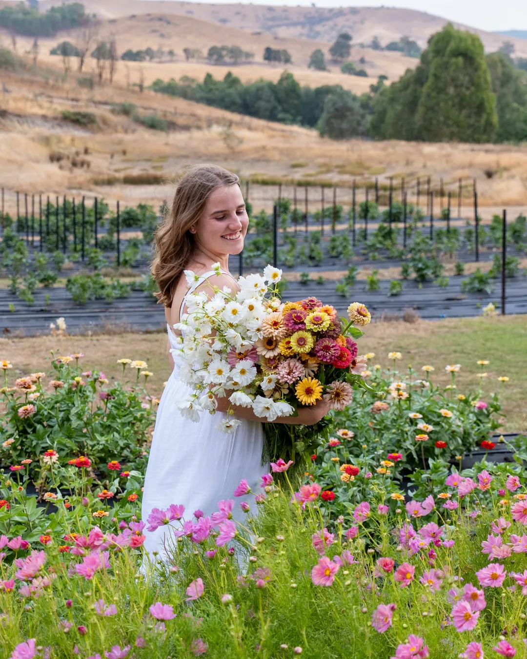 Bloom Into You Flower Farm