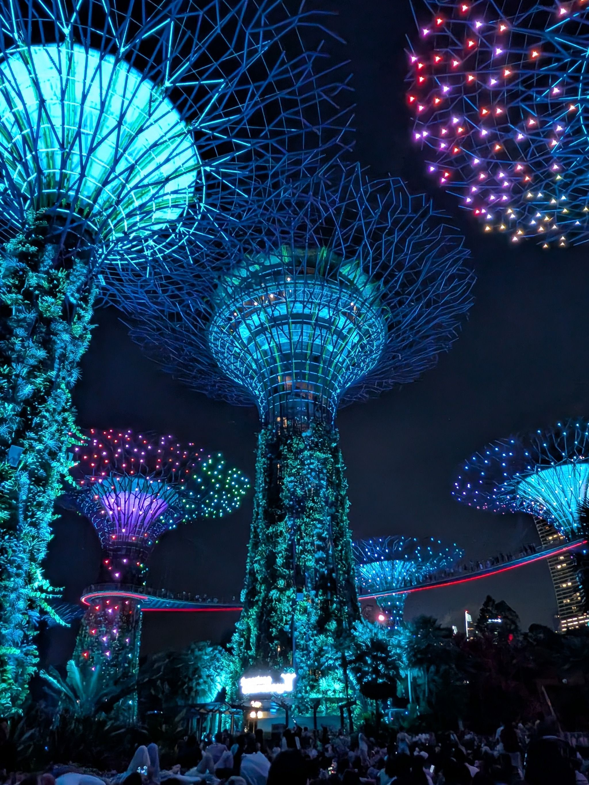 Supertree Grove