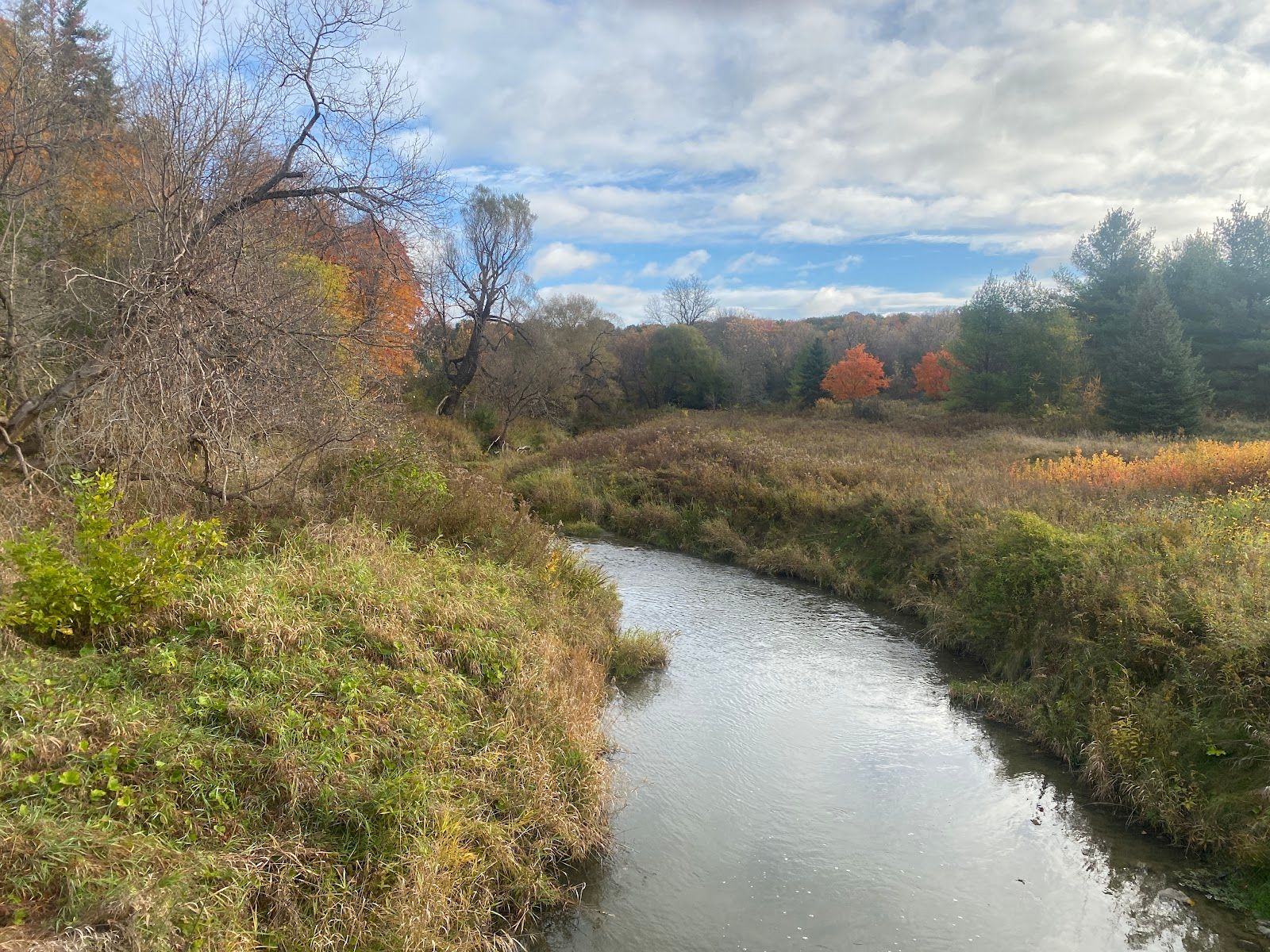 William Granger Greenway - Humber Trail