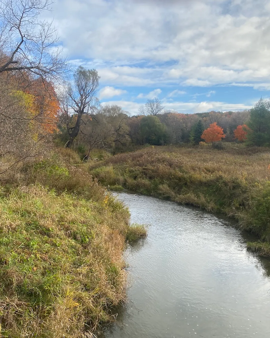 William Granger Greenway - Humber Trail