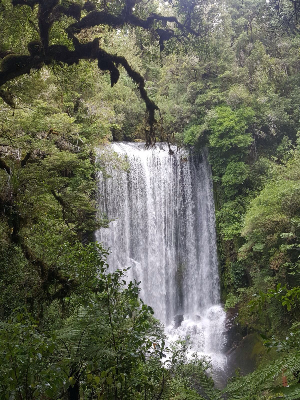 Korokoro Falls