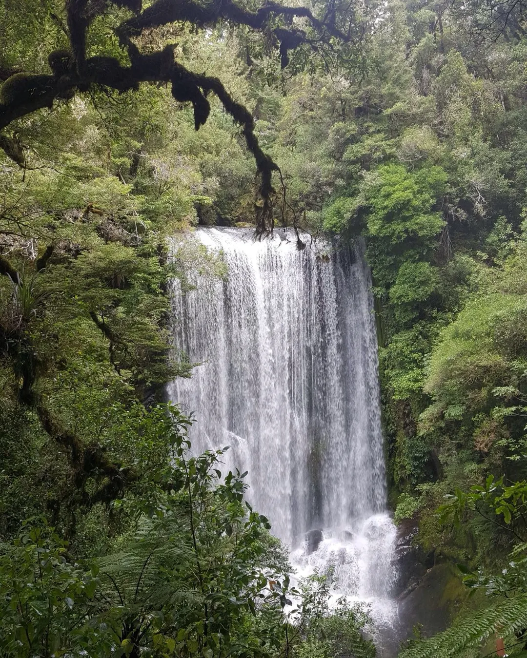 Korokoro Falls