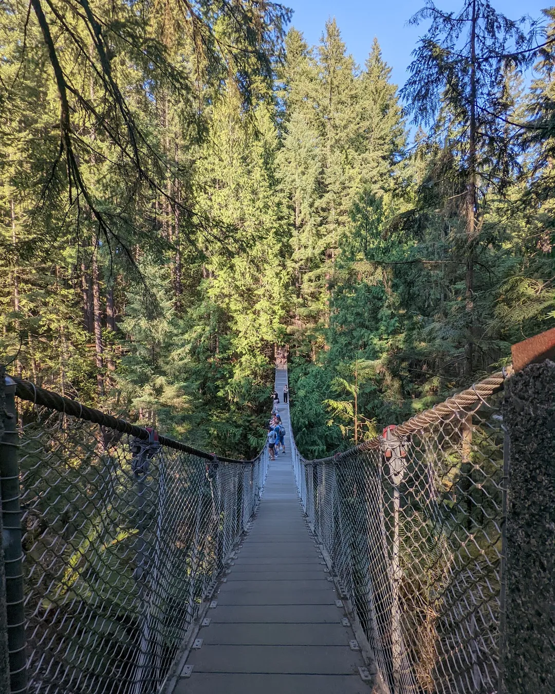 Lynn Canyon Suspension Bridge