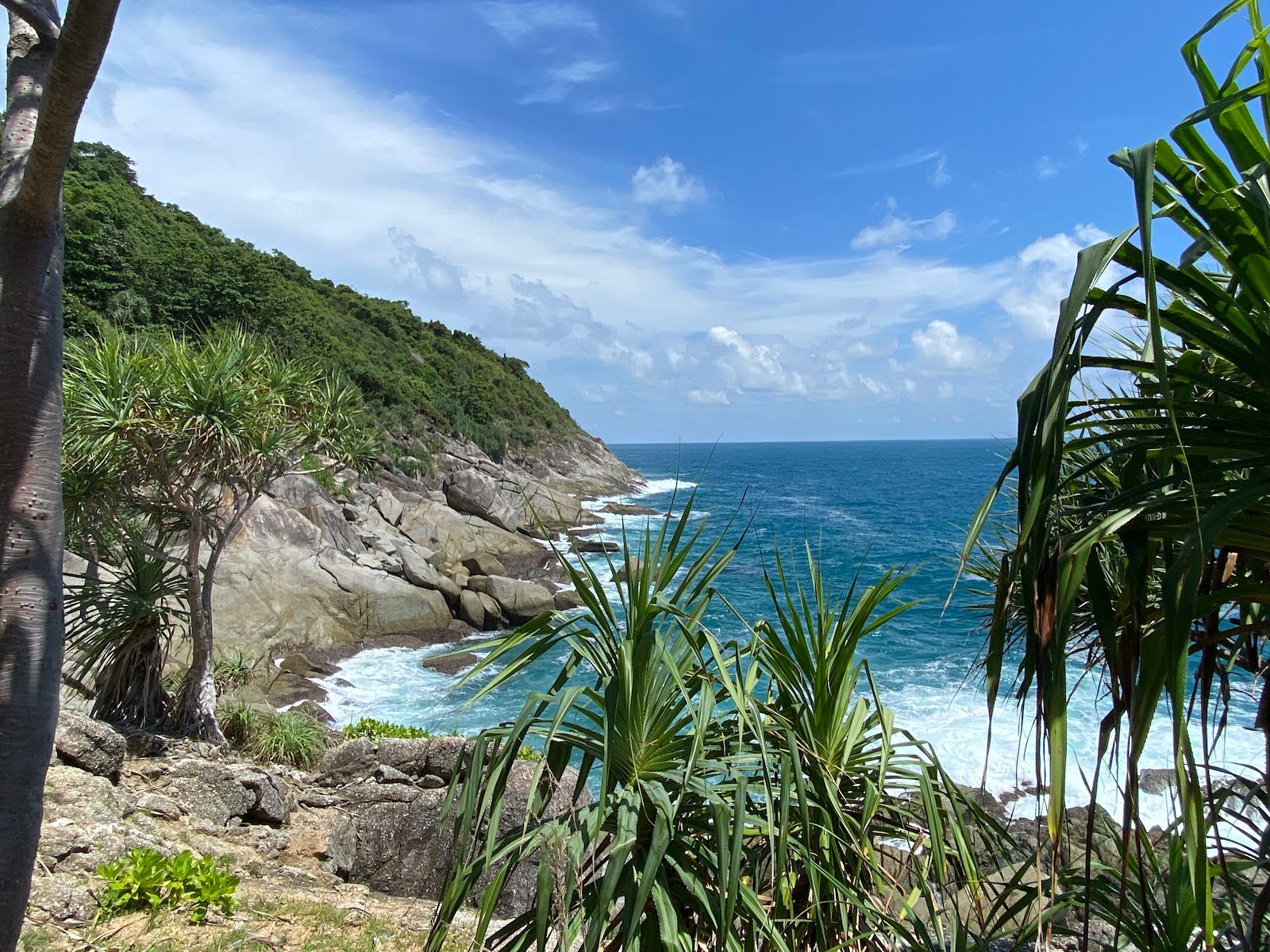 Blue's View