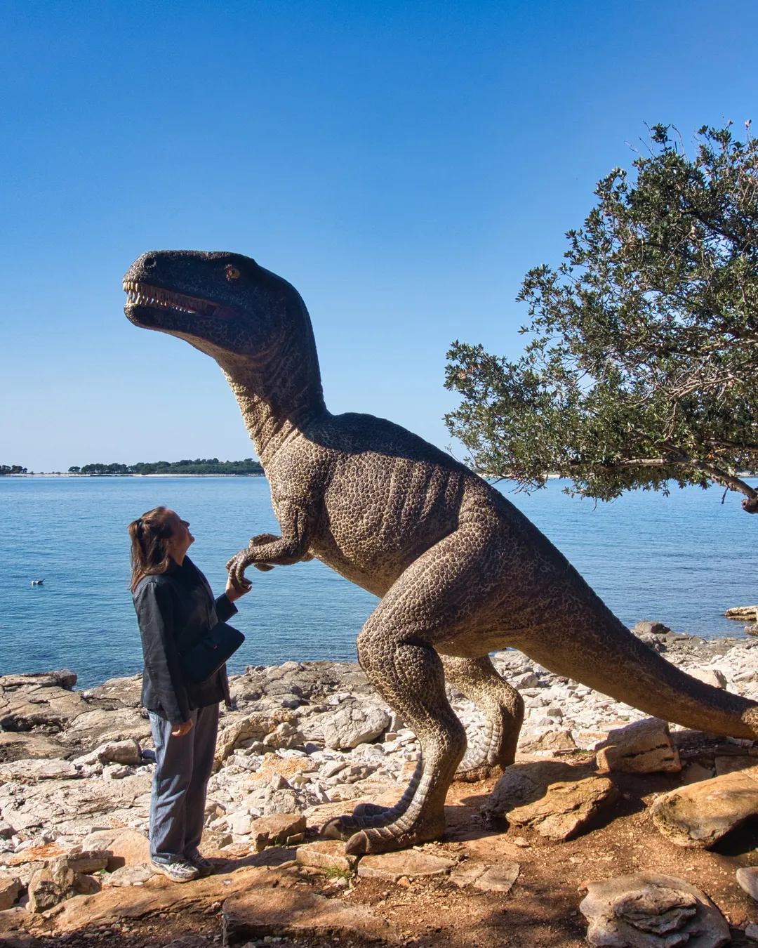 Dinospuren im Brijuni