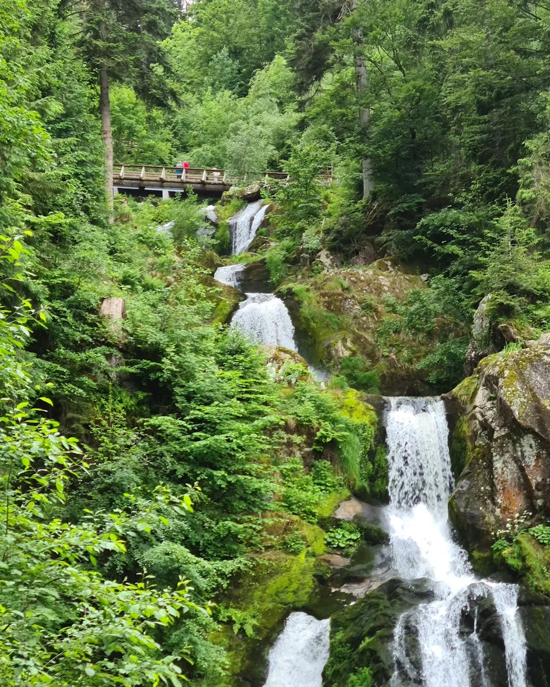 Triberg Waterfalls