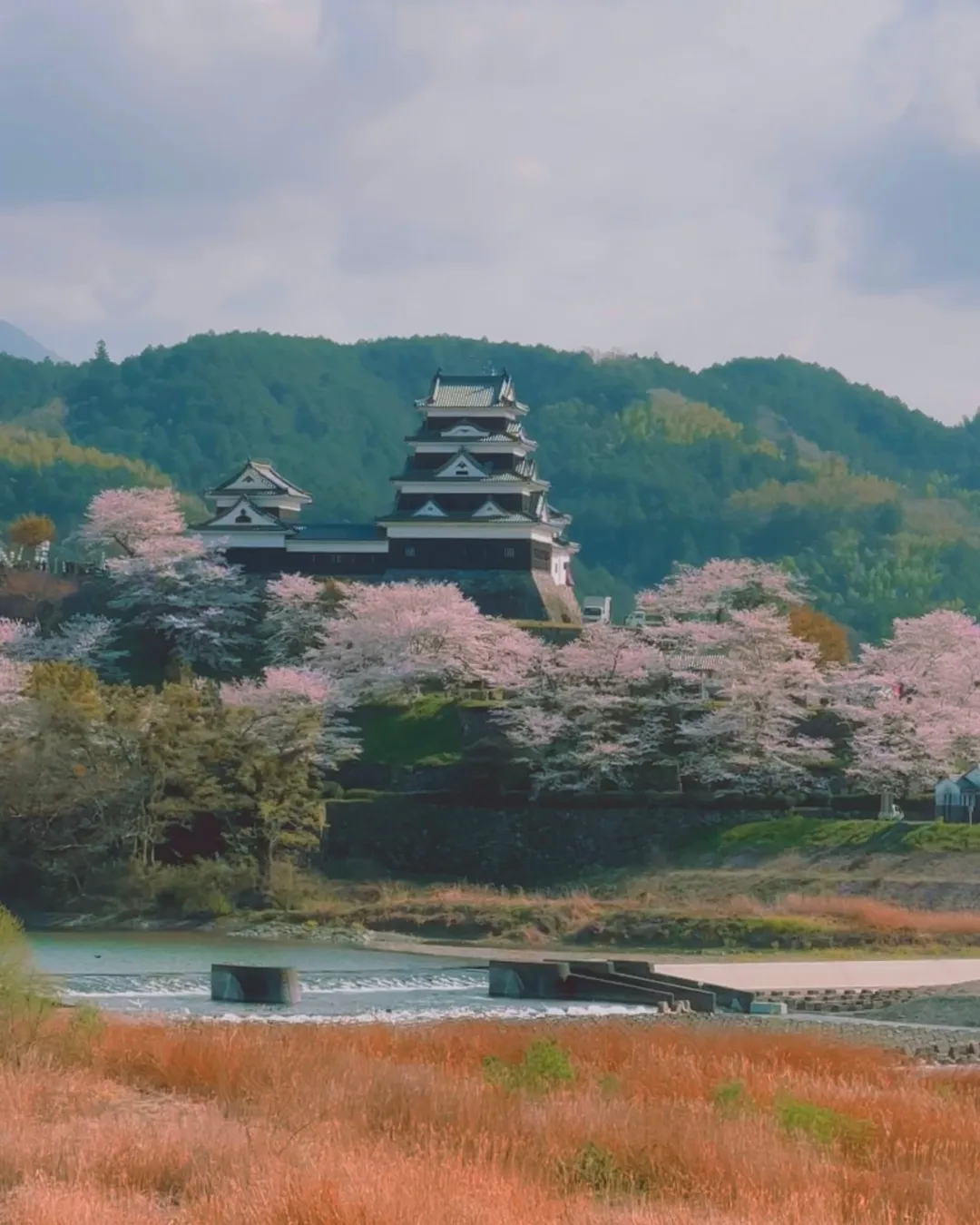 Ozu Castle