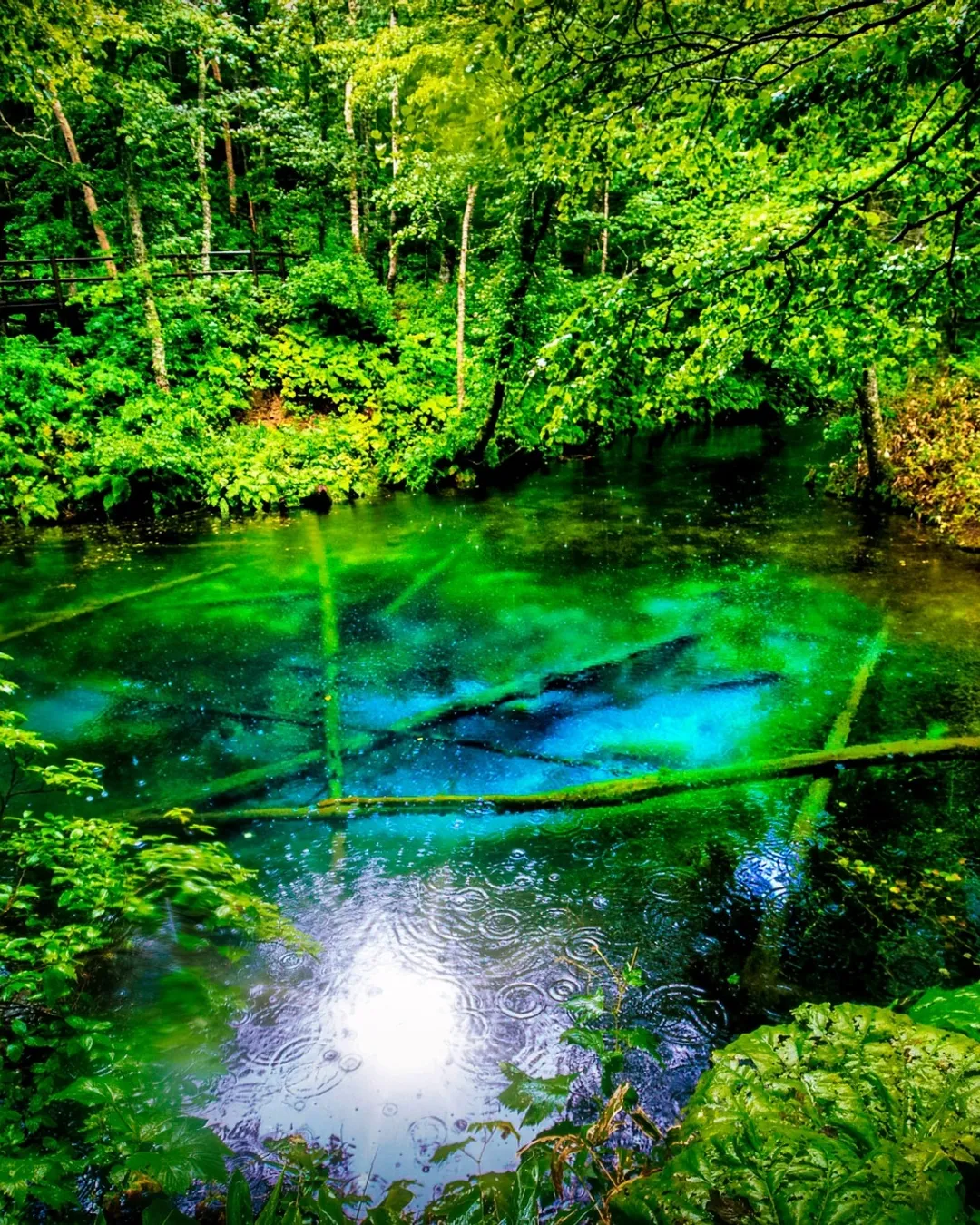 Kaminoko Pond